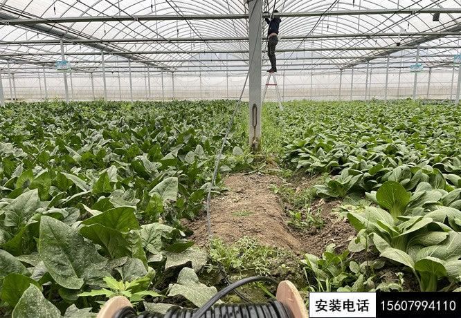 湘东某山庄蔬菜基地安防监控、温控系统施工安装完工。(图2)