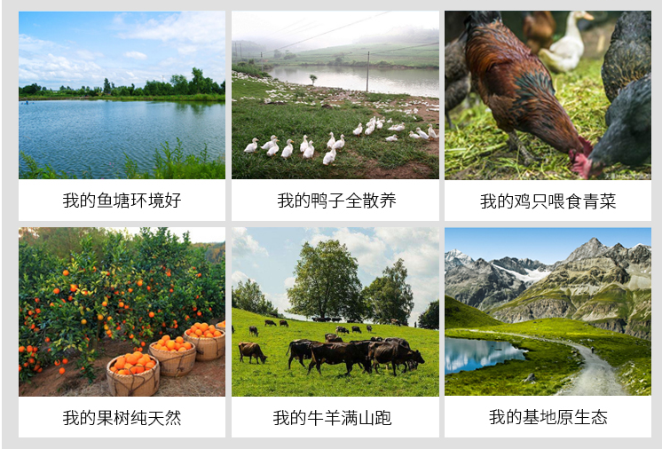 农场或是养植行业直播硬件设备联系我们购买(图4)