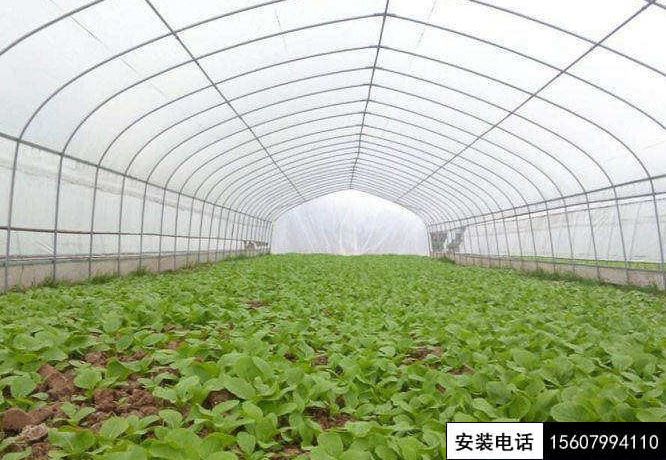 湘东某山庄蔬菜基地安防监控、温控系统施工安装完工。(图7)