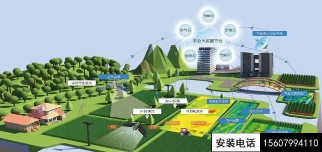 被摄像头“监控”的番茄一生（数字农业在线直播）(图1)