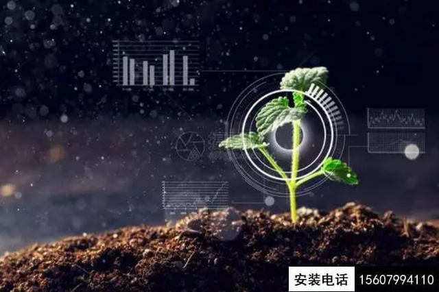 被摄像头“监控”的番茄一生（数字农业在线直播）(图2)
