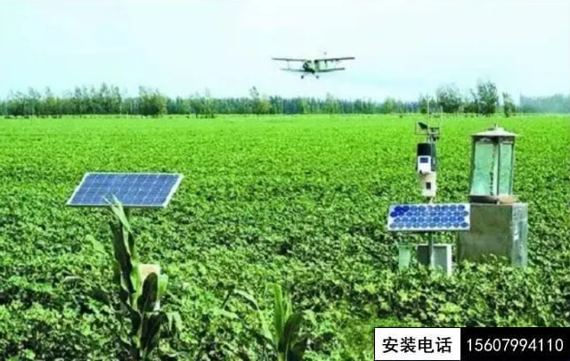 被摄像头“监控”的番茄一生（数字农业在线直播）(图3)